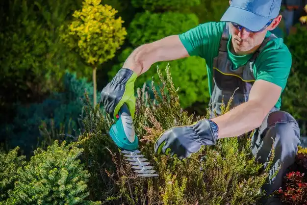 landscaping services St. Regis Park